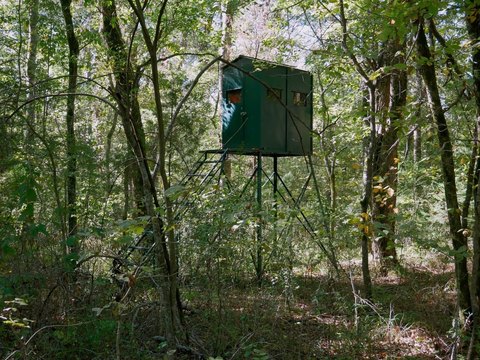 Wooded Recreational Land Tract