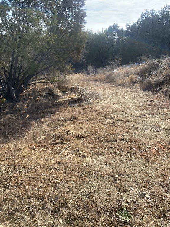 Picture 3