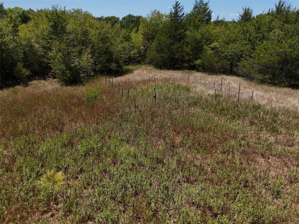 Picture 23