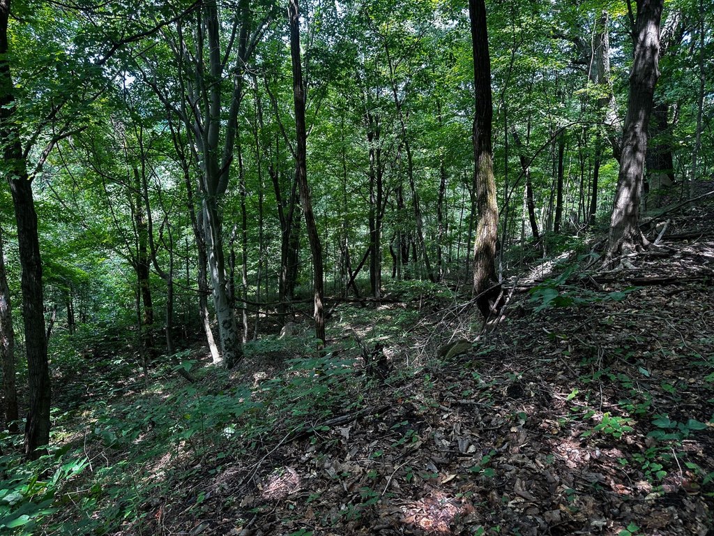 Picture 21