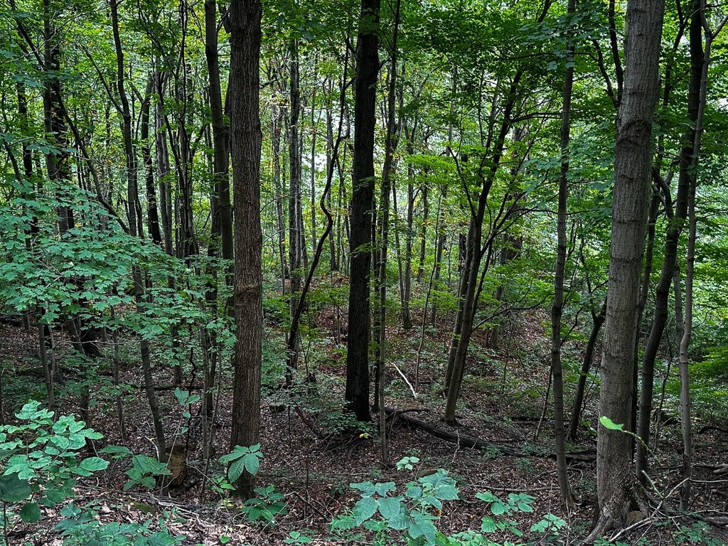 Picture 28