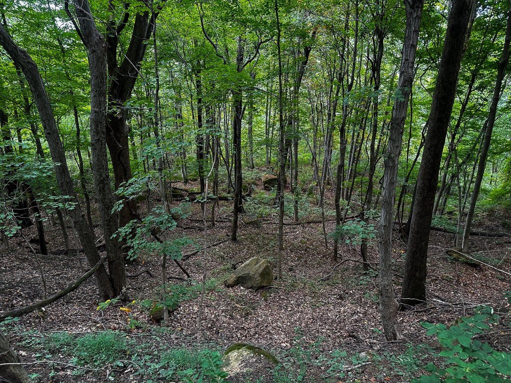 Picture 29