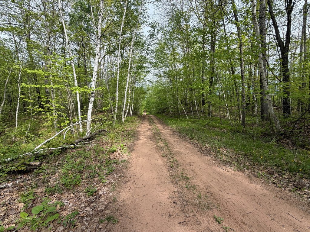 Picture 7