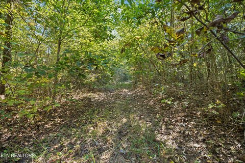 Lots & Acreage, Friendsville, TN