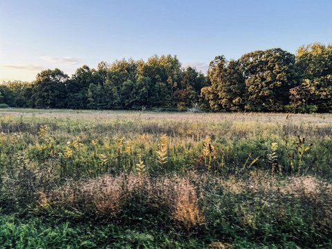 Land, Newaygo, MI