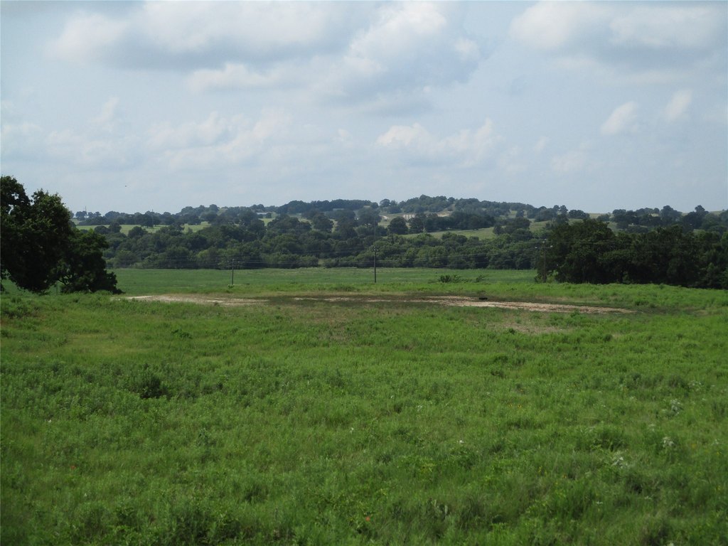 Picture 7