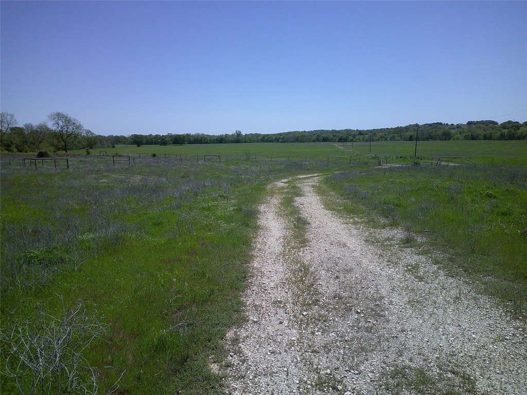 Picture 2