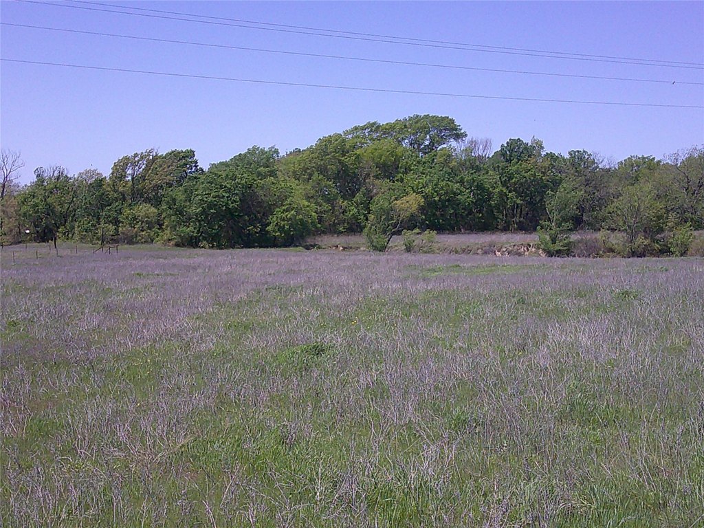 Picture 3