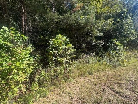 10.5 Acres of Mountain Land