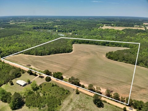 Farmland and Hunting Land Available
