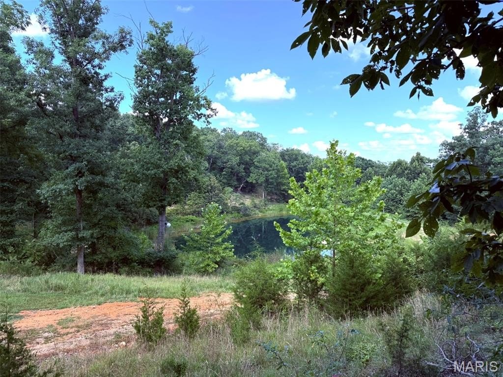 Picture 8