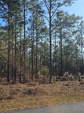 Rural Residential Land Parcel