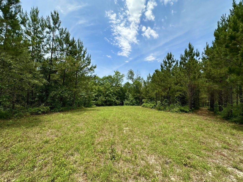 Picture 9