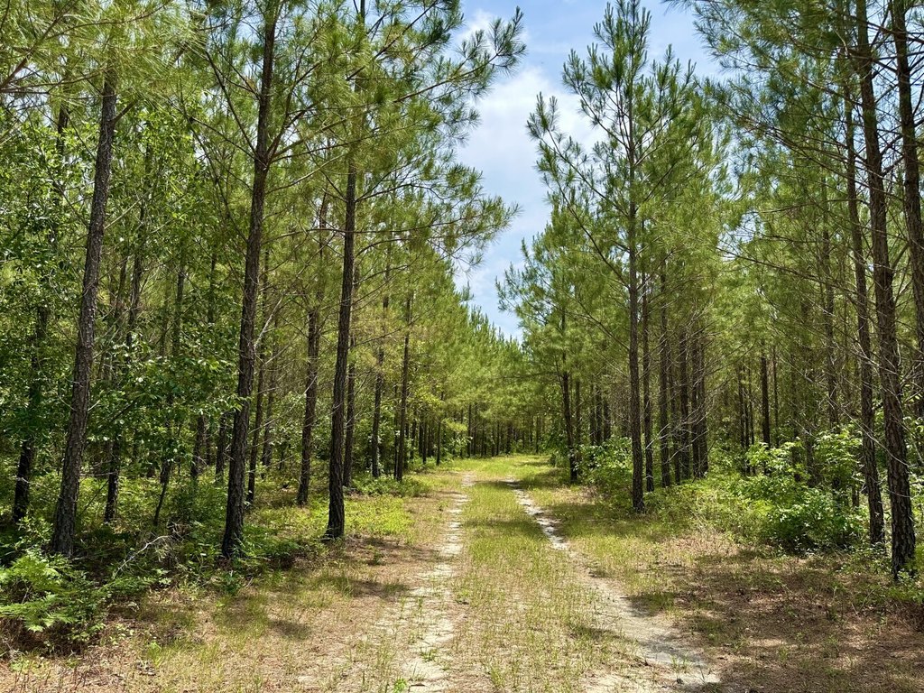 Picture 21
