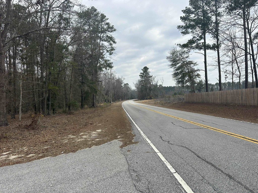 Picture 19