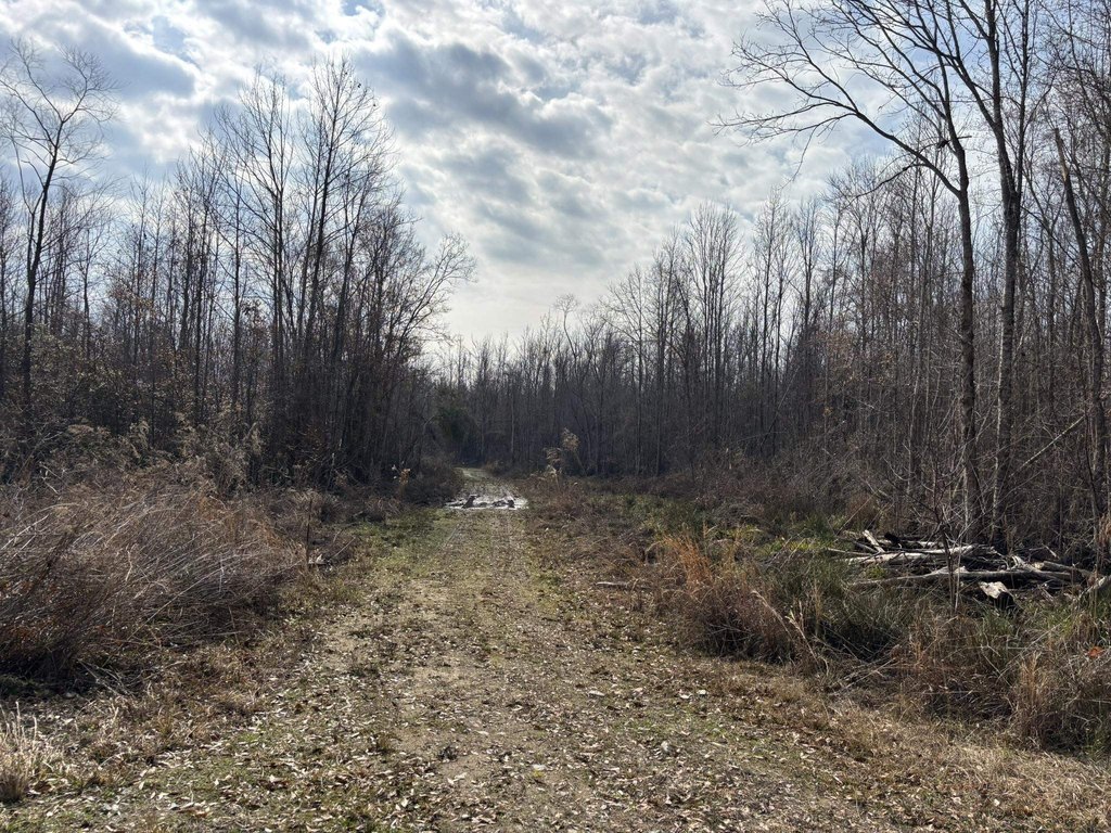 Picture 52