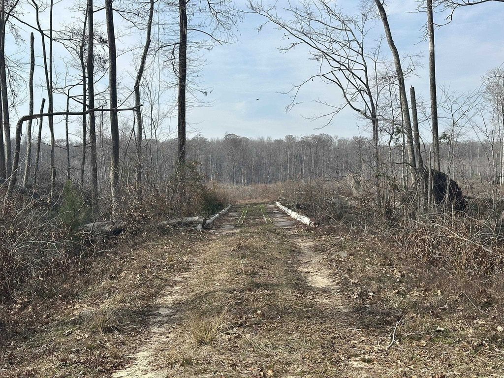 Picture 44