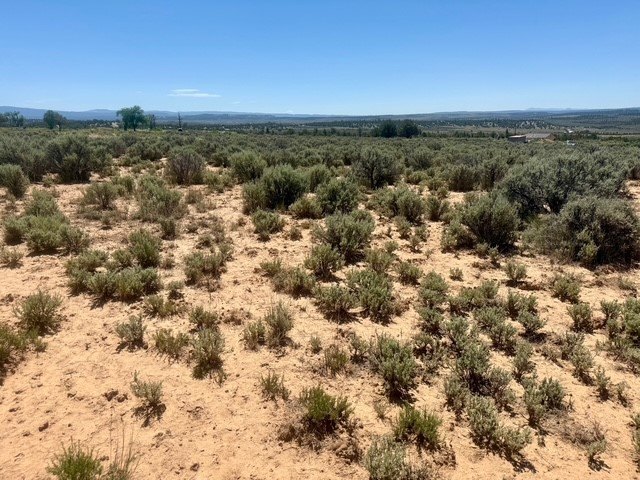 Recreational Land Near El Vado Lake