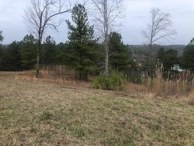 Land with Clear Creek Views