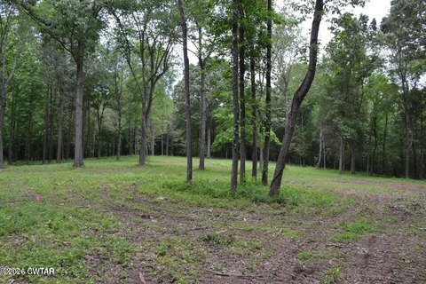 Land, Milan, TN