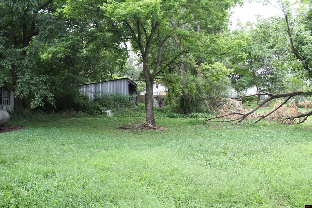 Picture 4
