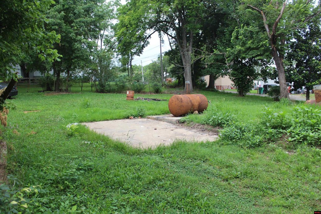 Picture 5
