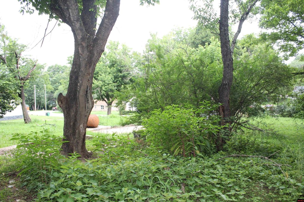 Picture 9
