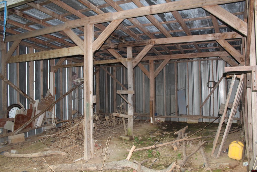 Picture 7