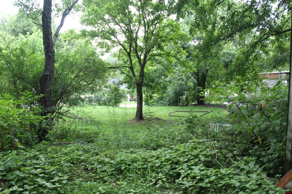Picture 8