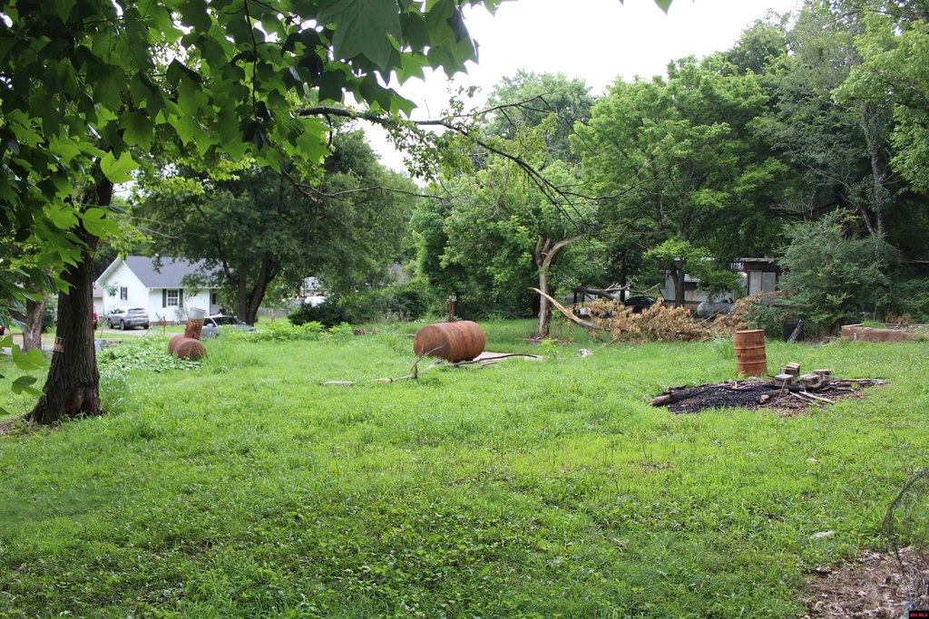 Picture 2