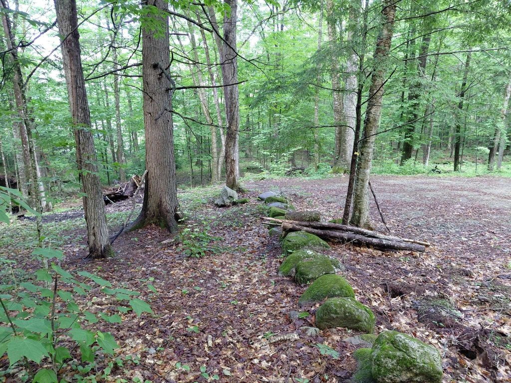 Picture 9