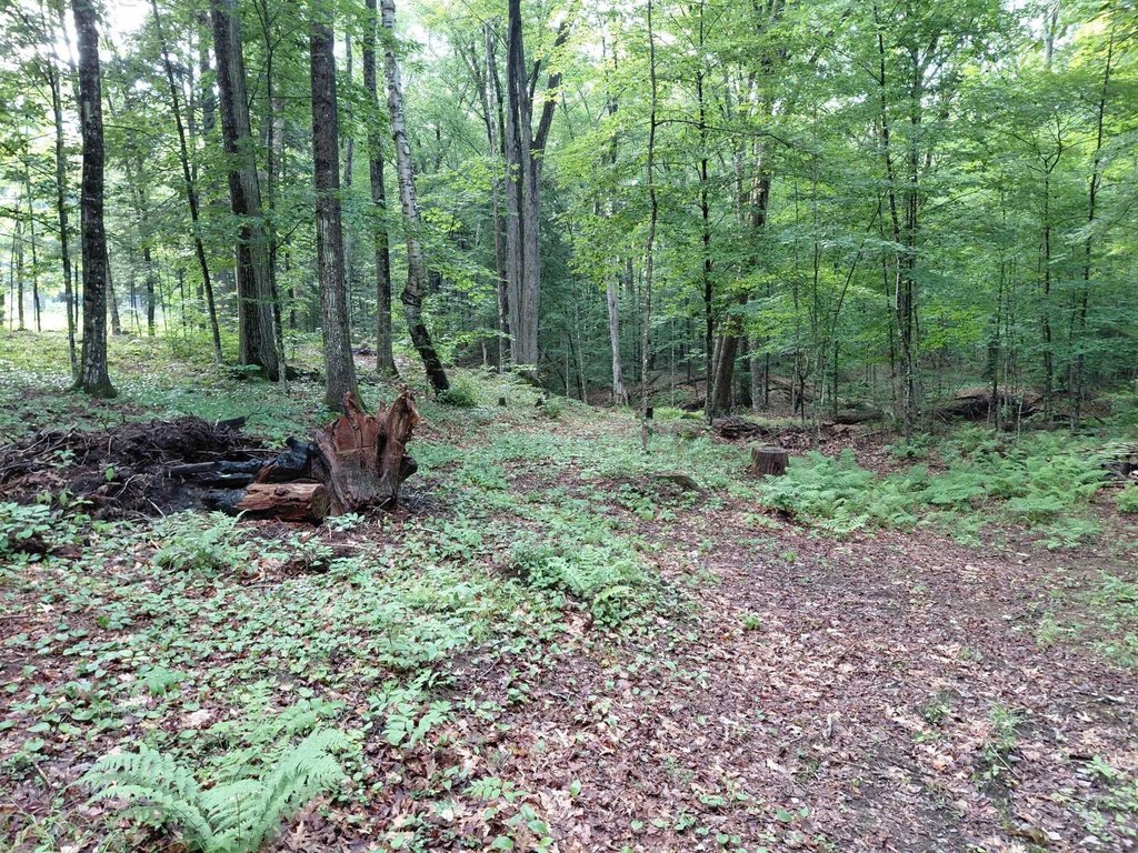Picture 11