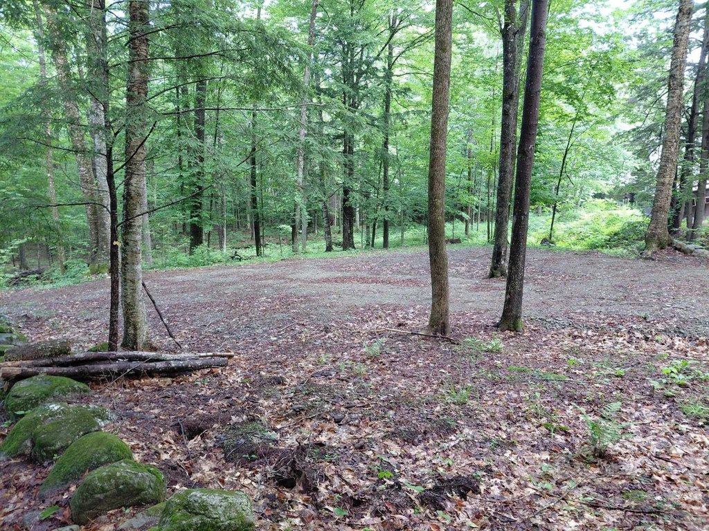 Picture 8