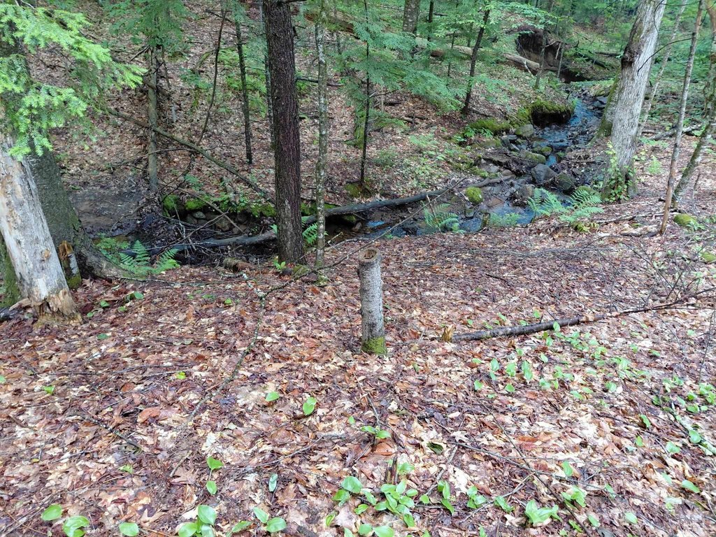 Picture 4