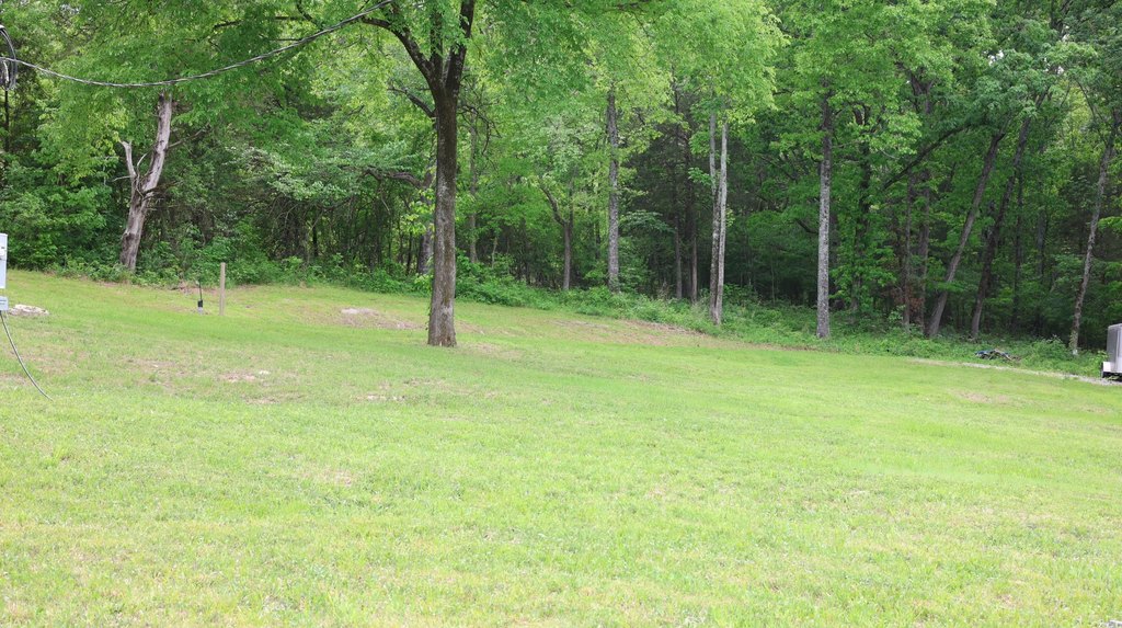 Picture 10