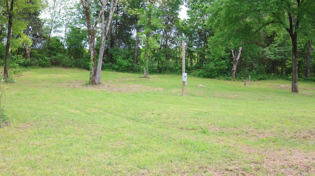Picture 9