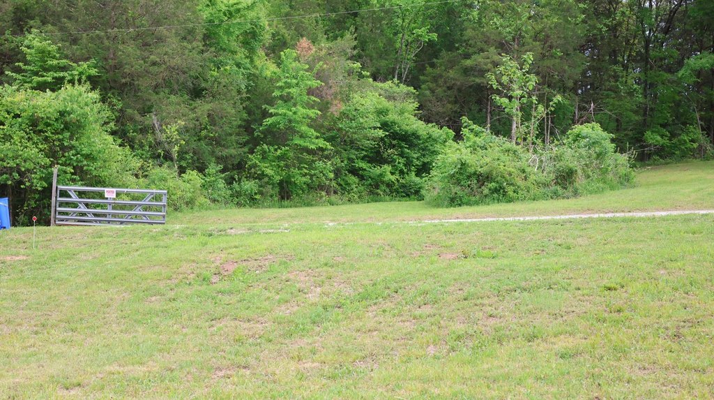 Picture 8