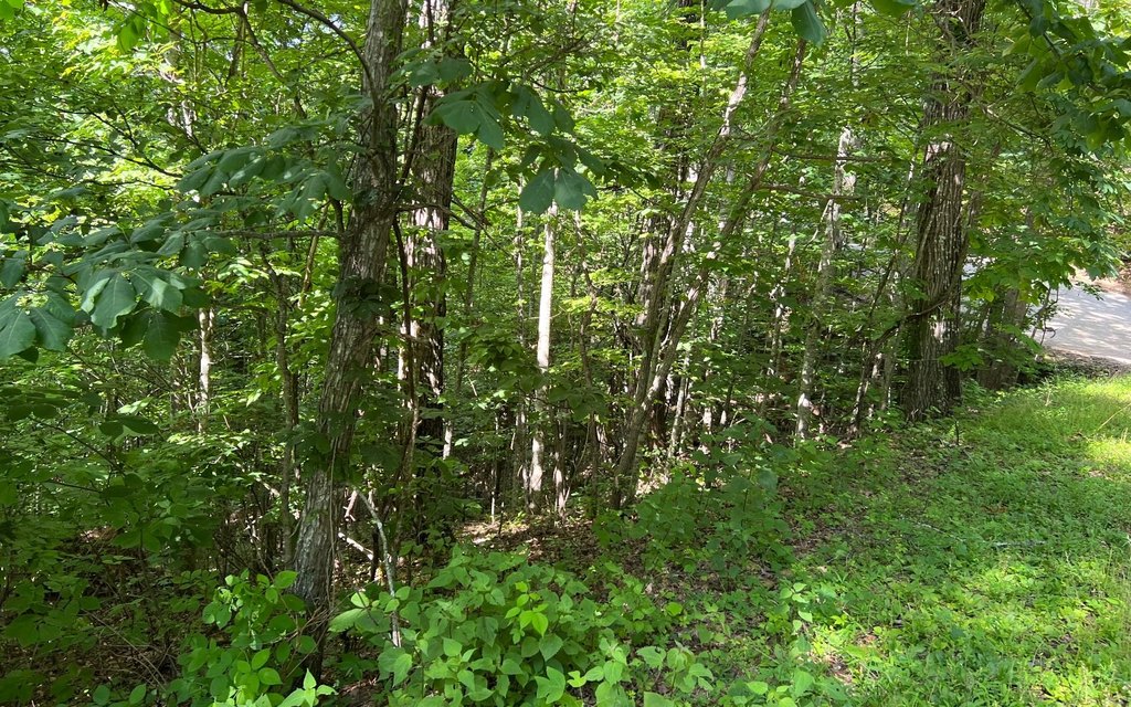 Picture 19