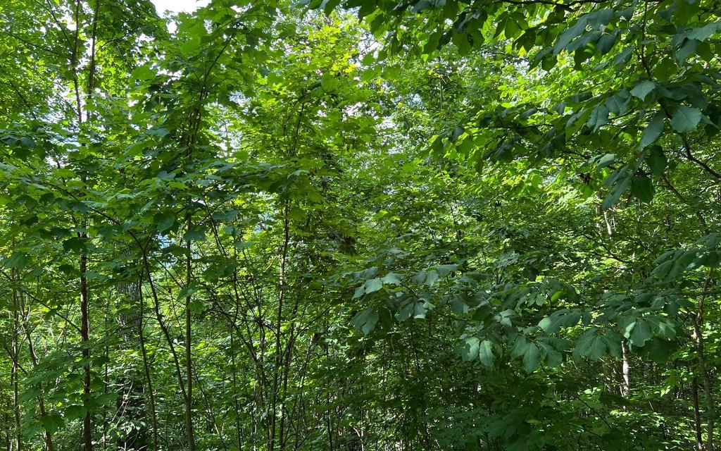 Picture 14