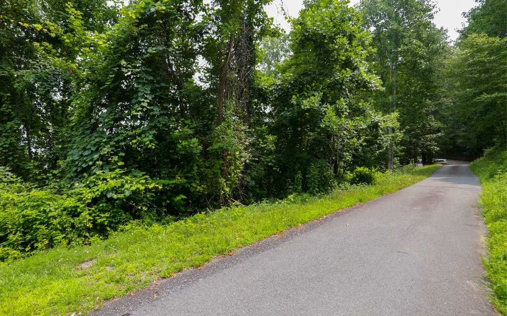 Picture 21