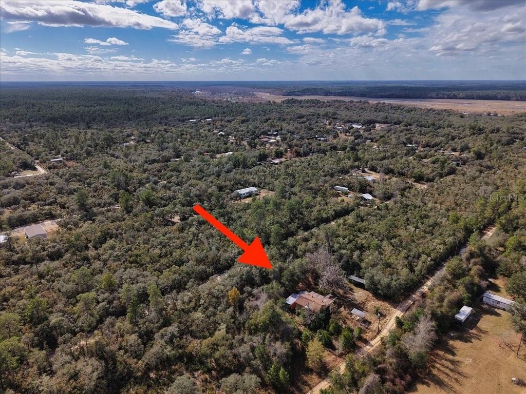 Picture 15