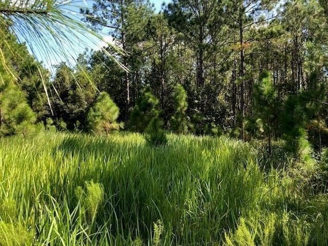 Polk City Acreage for Sale