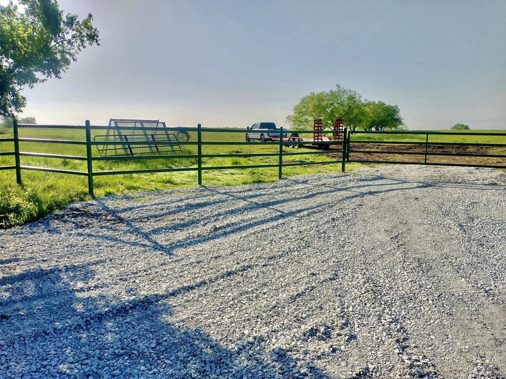 Picture 6