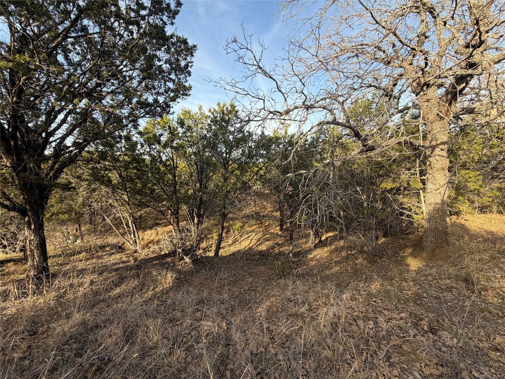 Picture 9