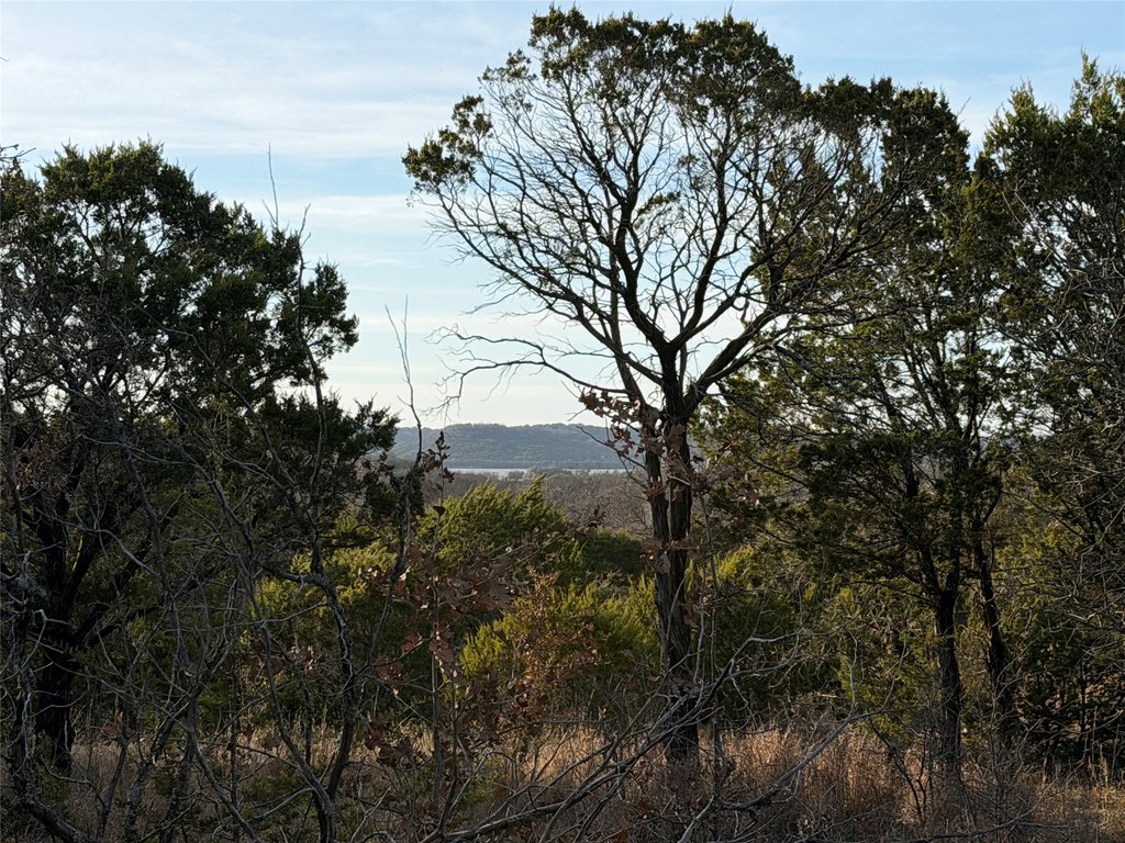 Picture 10