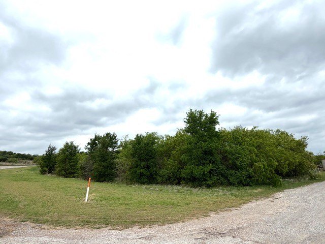 Picture 3