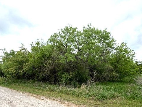 Residential Lot in Mingus, TX