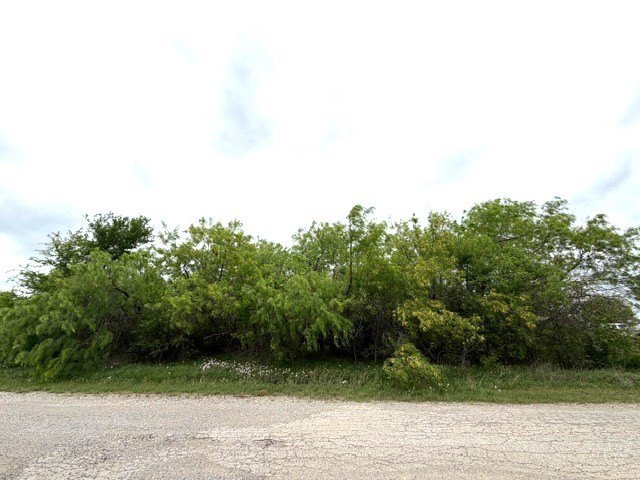Picture 4