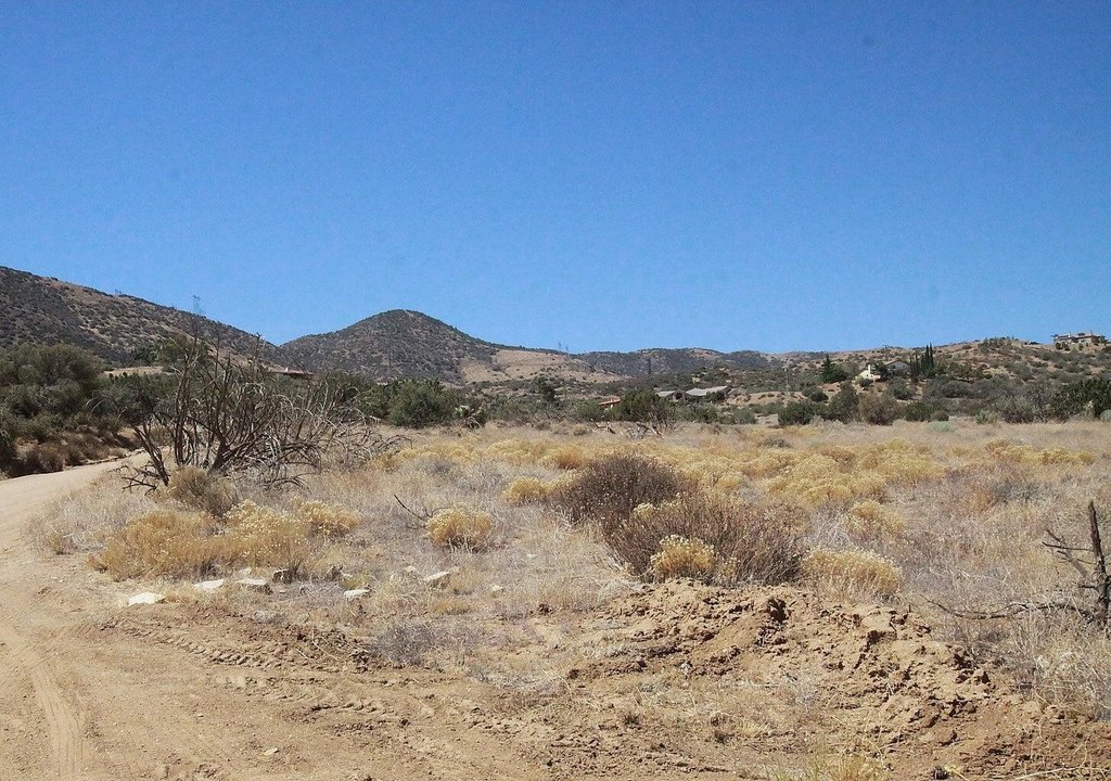 Picture 8