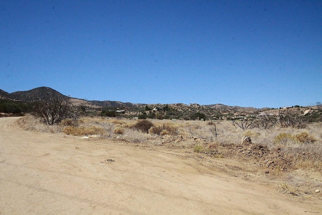 Picture 9